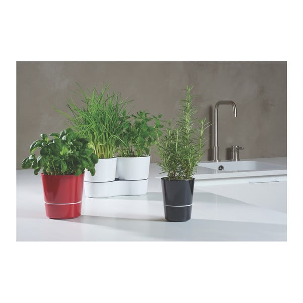 Сива саксия за билки Hydro Herbs - Mepal-image-3