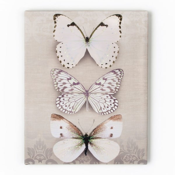 Obraz Graham & Brown Butterfly Trio, 40 x 50 cm