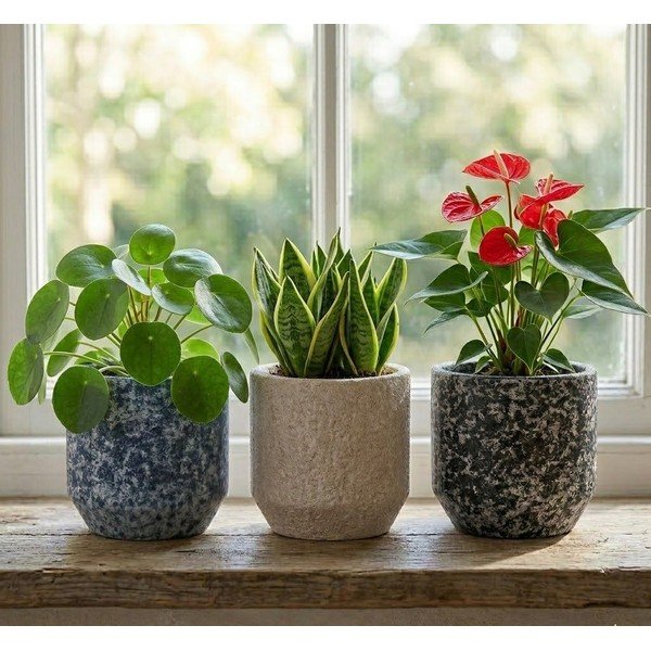 Керамично ръчно изработено покритие за кашпа ø 14 cm Almada – Ego Dekor-image-1