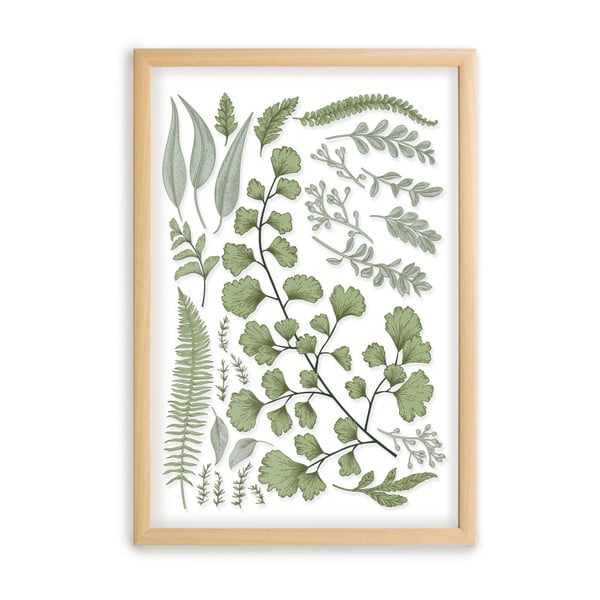 Картина с рамка от борова дървесина Leafes Collection, 50 x 70 cm Leaves Collection - Surdic