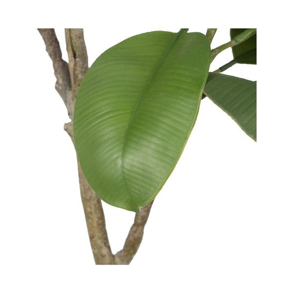Изкуствено растение (височина 116 cm) Oak Tree – Ixia-image-2