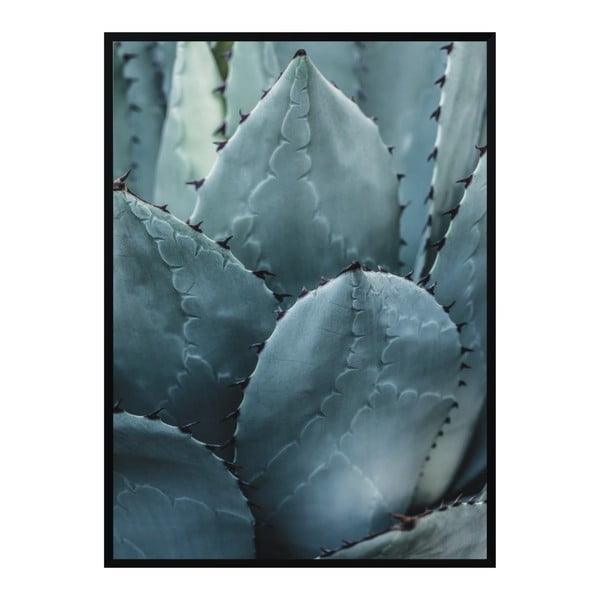 Plakát Nord & Co Cactus, 40 x 50 cm