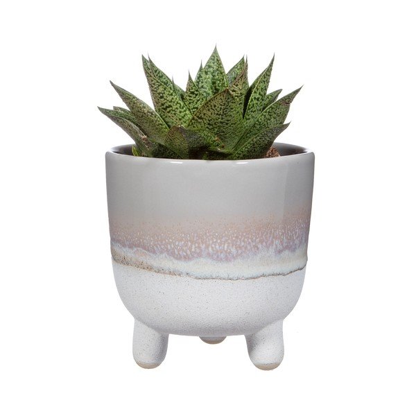 Сива саксия Bohemian Home , ø 11,7 cm Mojave - Sass & Belle-image-2