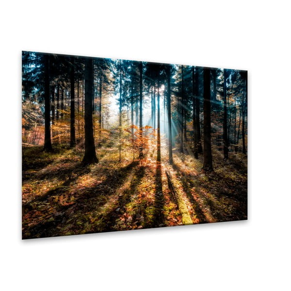 Картина Glasspik , 70 x 100 cm Autumn Sunset - Styler-image-2