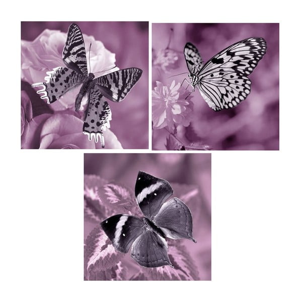 Комплект картини с пеперуди върху стъкло, 30x30 cm, 3 бр. - Postershop