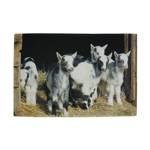 Předložka Dwarf Goats 75x50 cm
