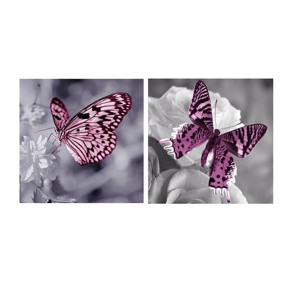 Set obrazů na skle Motýli, 20x20 cm, 2 ks