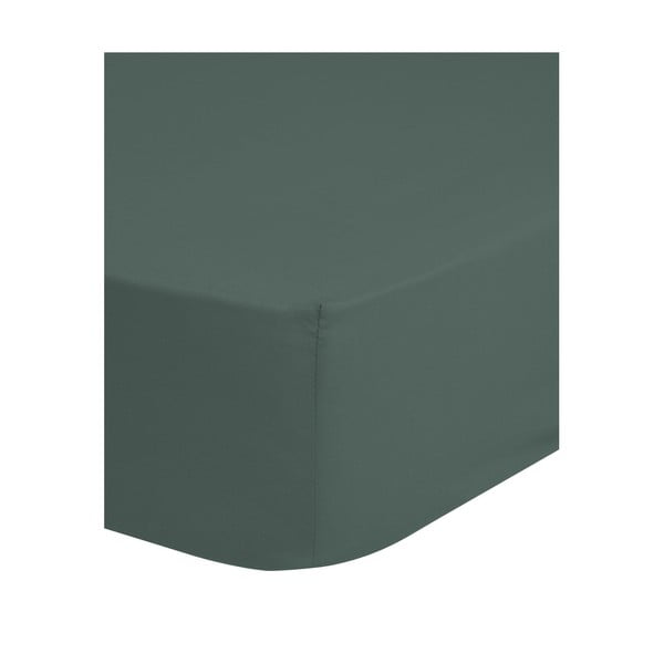 Зелено-сив разтегателен памучен чаршаф 90x200 cm - Good Morning-image-1