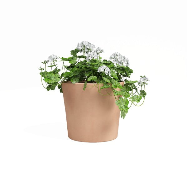 Теракотена саксия за цветя ø 24 cm Manuel – Artevasi-image-1