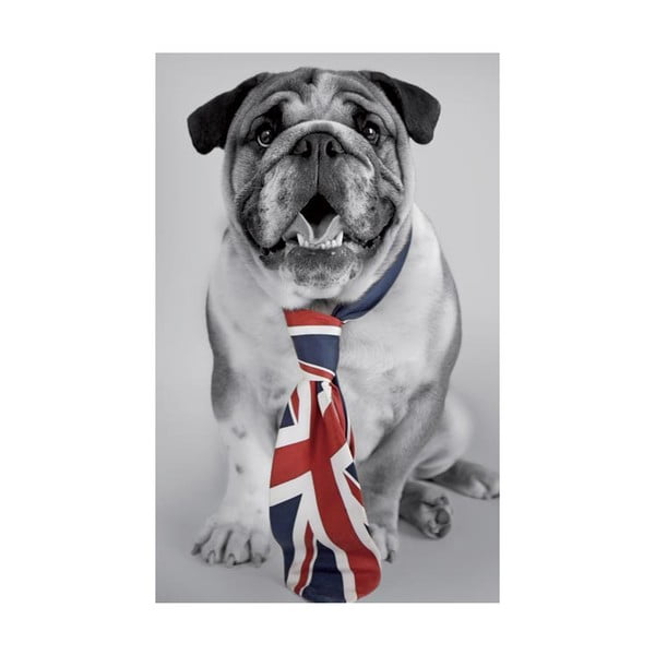Снимка на британско куче, 51x81 cm - Postershop