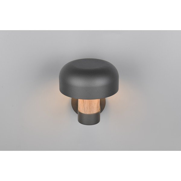 Стенно външно осветително тяло (височина 24,5 cm) Fraser – Trio-image-2