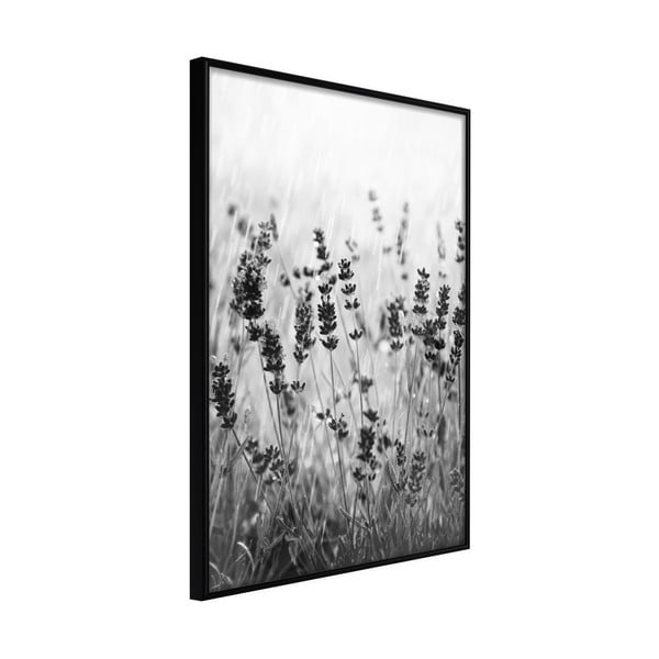 Плакат в рамка , 40 x 60 cm Shadow of Meadow - Artgeist