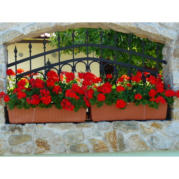 Кафява самонапояваща се саксия Siesta, дължина 80 cm - Plastia-image-1