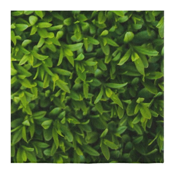 Зелен килим Suzzo Grass, 140 x 220 cm - Oyo home-image-3