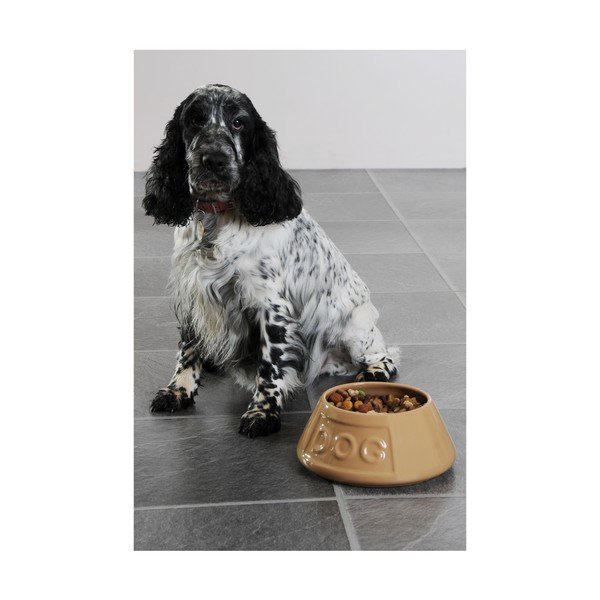 Каменна купа за кучета , ø 21 cm Pet Cane Dog - Mason Cash-image-2