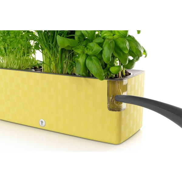 Зелена саксия с босилек за самополиване Trio, 40 x 14 cm Cobble - Flower Lover-image-1