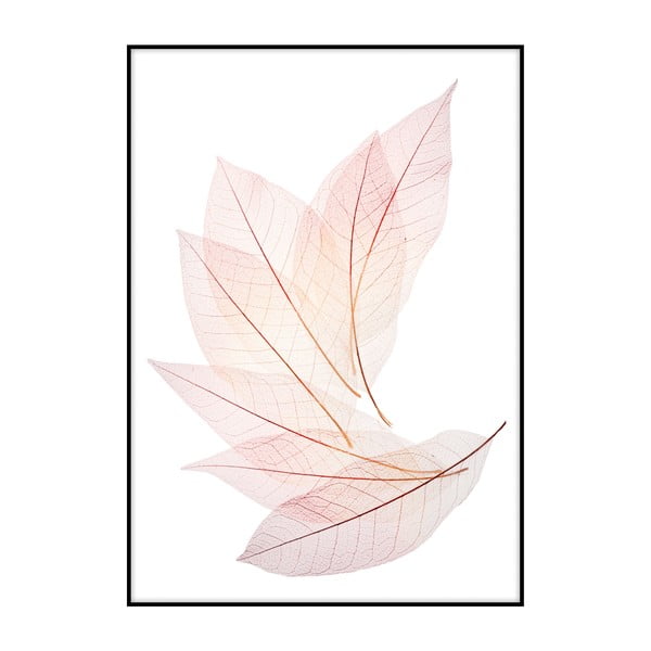 Плакат "Розови листа", 40 x 30 cm - Imagioo