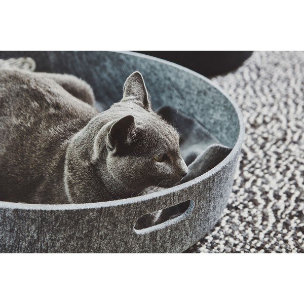 Текстилна кошница за съхранение ø 46x12 cm Cesto Concrete – MiaCara-image-3