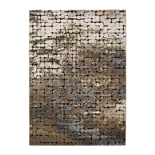 Кафяво-сив килим Hydra, 160 x 230 cm - Universal