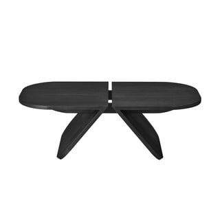 Черна масичка за кафе от масивен дъб 54x100 cm Avio – Blomus