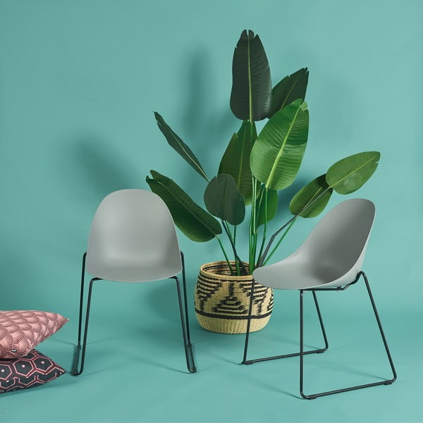 Комплект от 2 сиви трапезни стола с черна основа Viva - Bonami Selection-image-1