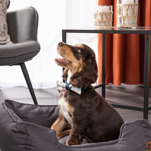 Синьо  легло за куче 50x55 cm – Love Story-image-4