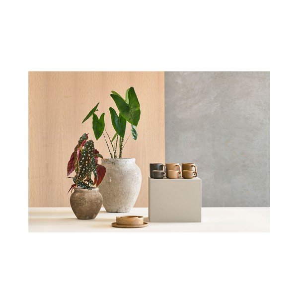 Оранжеви порцеланови чаши в комплект от 2 бр. ø 10,1 cm Fjord - Villa Collection-image-1