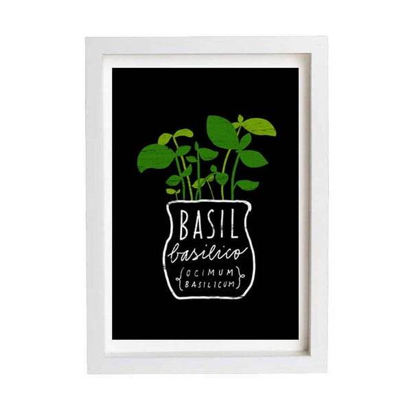 Plakát Basil Herb