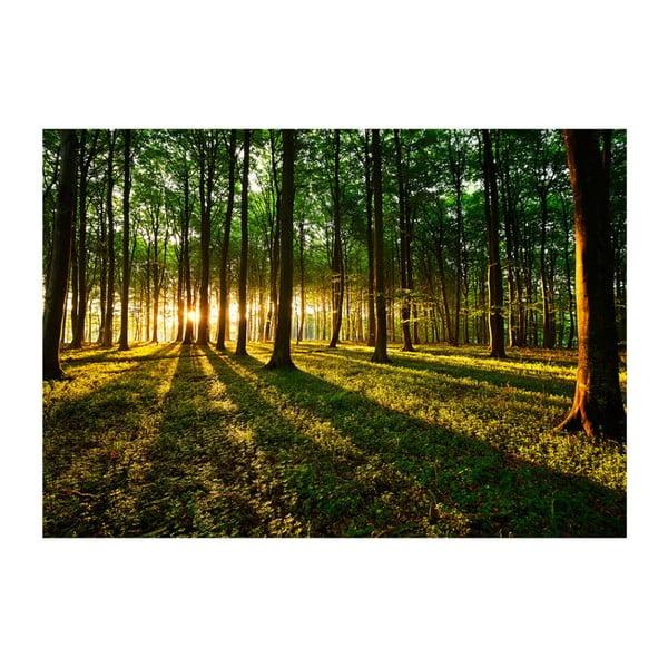 Широкоформатен тапет Bimago Morning, 350 x 245 cm Spring: Morning in the Forest - Artgeist