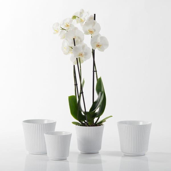 Бяла керамична кана Гланц, ø 12 cm - Big pots-image-1