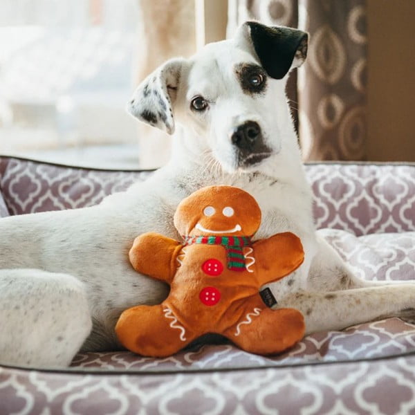 Играчка за куче Gingerbread Man - P.L.A.Y.-image-1