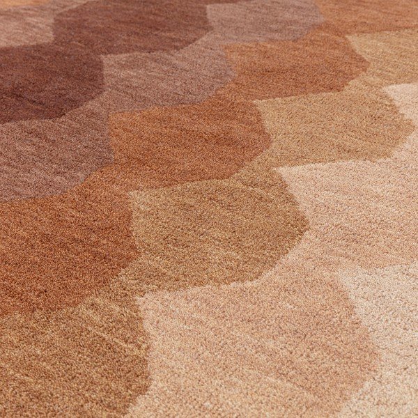 Вълнен килим в тухлен цвят 160x230 cm Hive - Asiatic Carpets-image-2