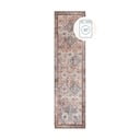 Пътека подходяща за пране 60x230 cm Dion Global – Flair Rugs