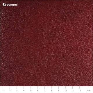 Червен кожен фотьойл Norwin - Max Winzer
