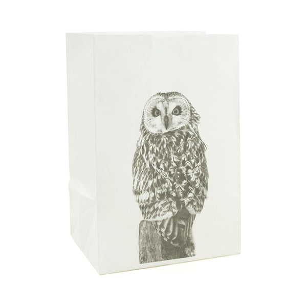 Sada 2 papírových obalů na svíčku Novoform Owl