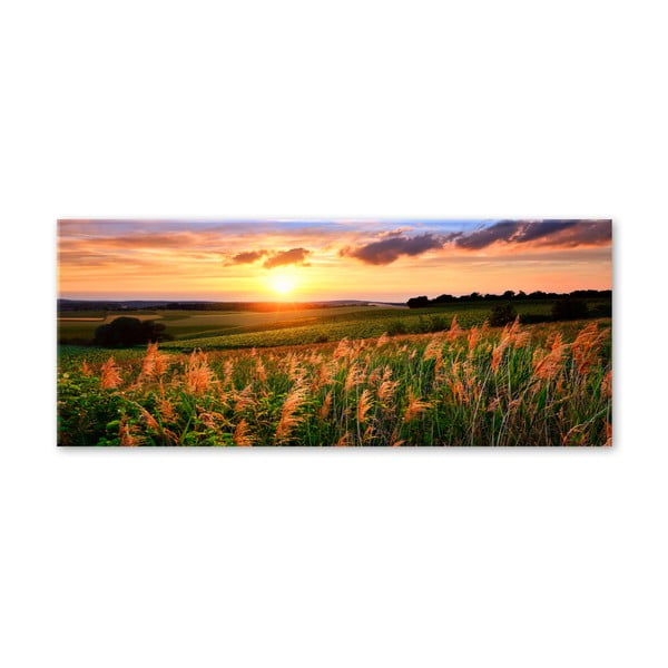 Стъкло за изображения Sunset Meadow, 50 x 125 cm - Styler