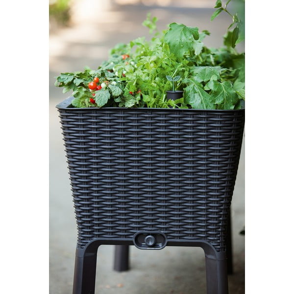 Саксия за цветя Easy Grow – Keter-image-2