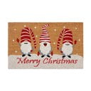 Изтривалка с коледен мотив от кокосови влакна 40x70 cm Christmas Gnomes – Hanse Home