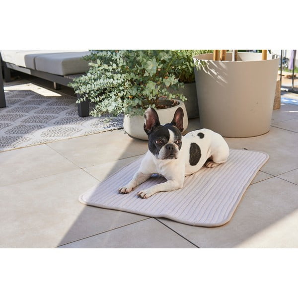 Сиво памучно одеяло за куче 75x100 cm Onda Pebble M – MiaCara-image-2