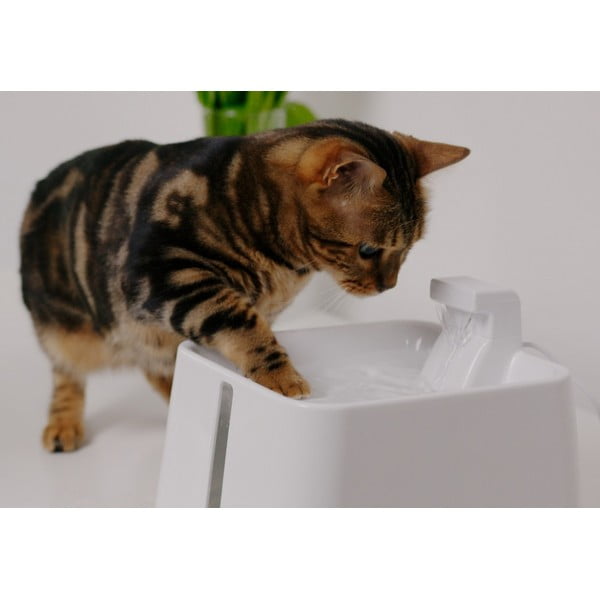 Фонтан за домашни любимци Epic Pet Zen - Plaček Pet Products-image-1