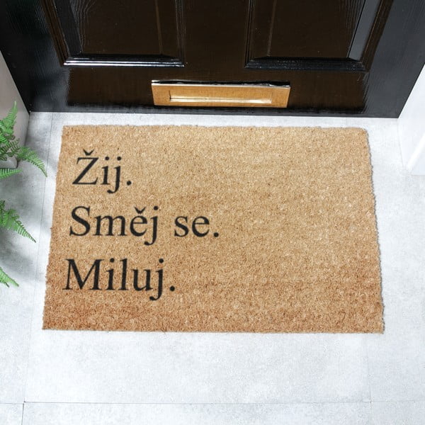 Изтривалка от кокосови влакна 40x60 cm Žij a Miluj – Artsy Doormats-image-2