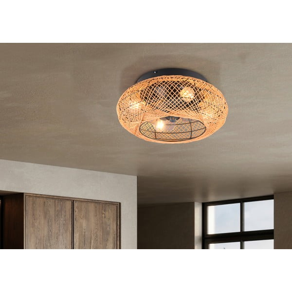 Кафяво осветително тяло за таван с дистанционно управление/с вентилатор Lillesand – Trio-image-1