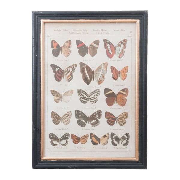 Obraz Clayre & Eef Butterflies, 40 x 55 cm