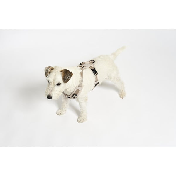 Бежова каишка S дължина 30 cm Modena Greige S – MiaCara-image-3