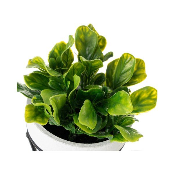 Изкуствени цветя в комплект от 4 - Casa Selección-image-1