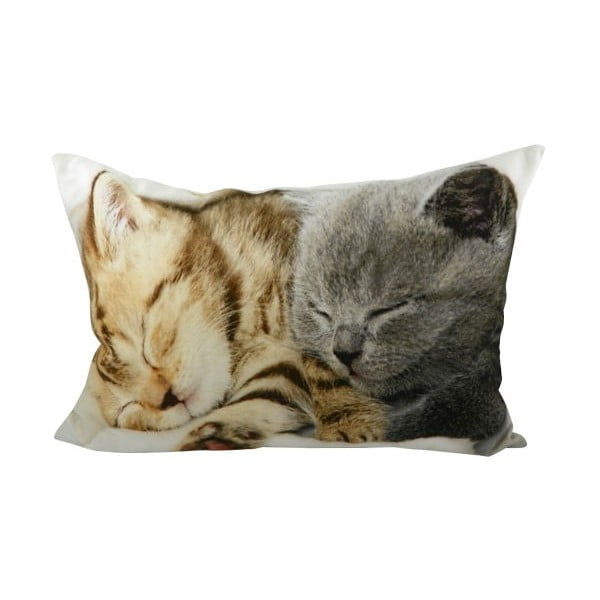 Polštář Kittens On Blanket 50x35 cm