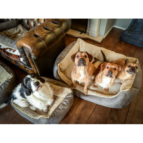 Светлокафяво легло за куче 50x65 cm - Madison-image-1