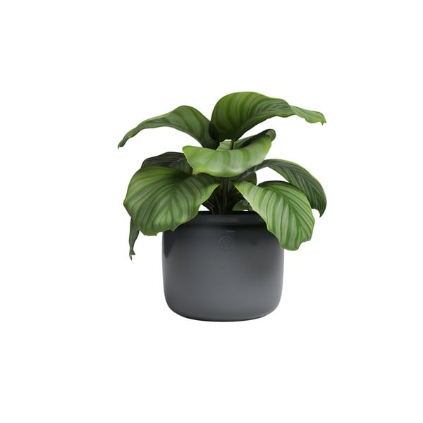 Керамична ръчно изработена саксия за цветя ø 20 cm Astrea – Artevasi-image-3