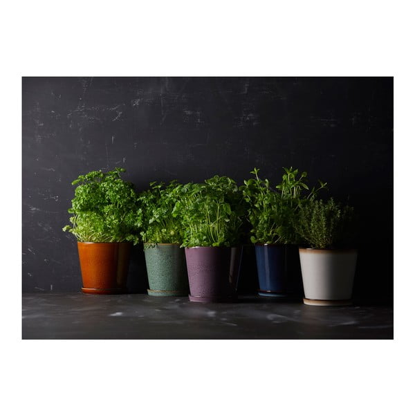 Глинена саксия за цветя ø 14 cm Gastro  – Bitz-image-2