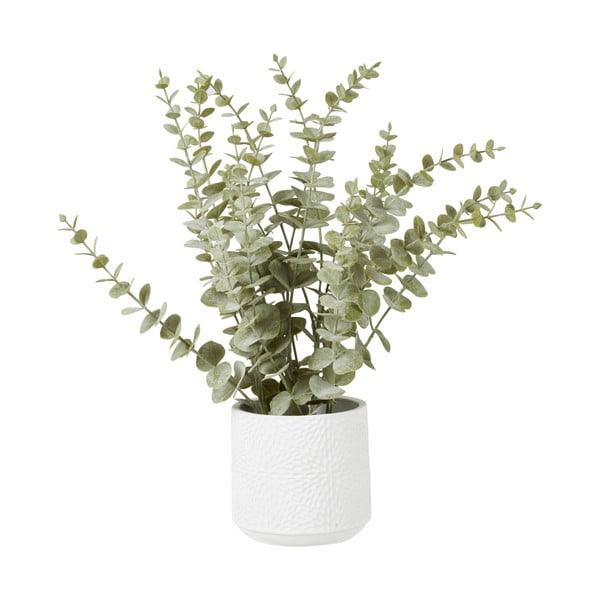 Изкуствено цвете евкалипт в бяла керамична саксия Premier Houseware Fiori - Premier Housewares